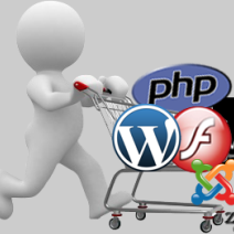 Arun Patel-Freelancer in New Delhi,India