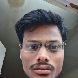 BANDI VENKATA RUCHITH-Freelancer in ,India