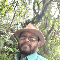 Mukesh Kumar-Freelancer in Sindri,India