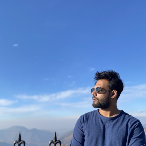 Syed Mohd Zeeshan-Freelancer in ,India