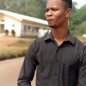 Triumph Akhigbe-Freelancer in Ekpoma,Nigeria