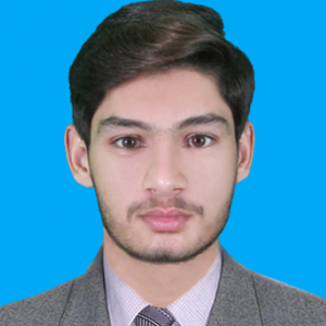 Ayyan Sulehri-Freelancer in Narowal,Pakistan