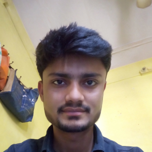 Naharu Hussain-Freelancer in Jodhpur,India