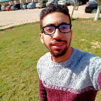 Abdelhamid Atef-Freelancer in Abyar,Egypt