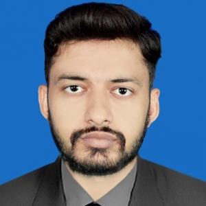 Malik Ghulam Mujtaba-Freelancer in Islamabad,Pakistan