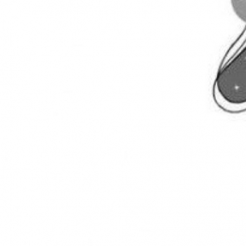 Sana Naseer-Freelancer in ,Qatar