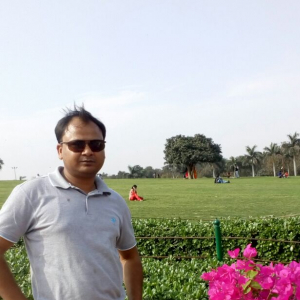 Naveen Jha-Freelancer in Faridabad,India