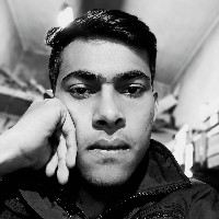 Ankit Kumar-Freelancer in Jalandhar,India