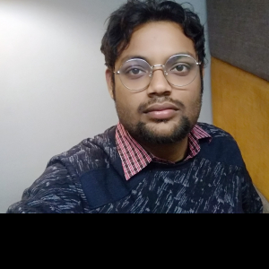 Subhankar Ghosh-Freelancer in ,India