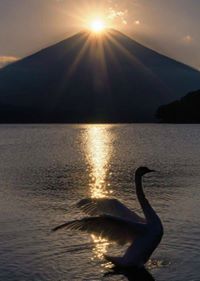 Kiki Lachowski-Freelancer in Tiran,Albania