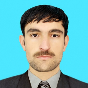 Hasnain Khan-Freelancer in Timergara,Pakistan