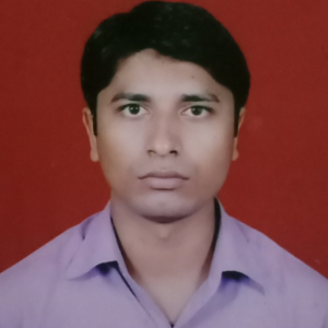 Pallav Mandal-Freelancer in ,India
