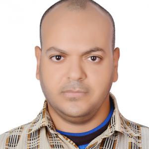 mohamed ismail-Freelancer in ,Egypt