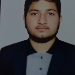 Hemant Ojha-Freelancer in ,Nepal