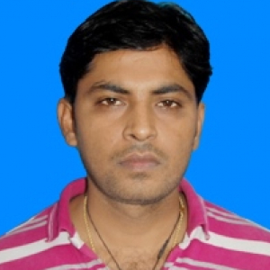 Narendra Singh Rajput-Freelancer in ,India