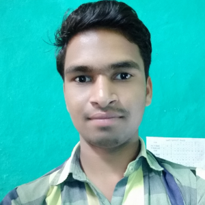 Vivek Sahu-Freelancer in ,India
