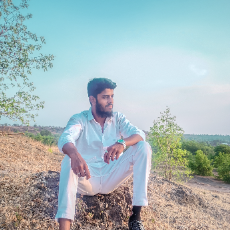 Sufiyan Rais Shaikh-Freelancer in Bhokardan,India