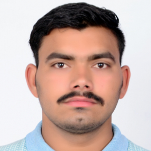 Satish Kumar-Freelancer in karnal,India
