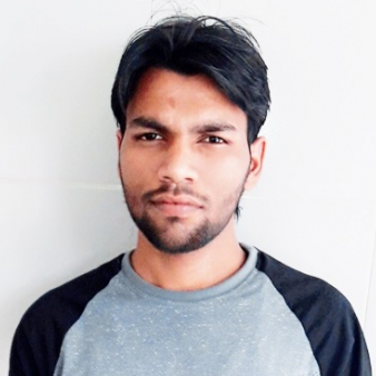 Sudhir Singh-Freelancer in ,India