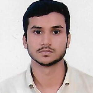 BhanuPartap-Freelancer in DELHI,India