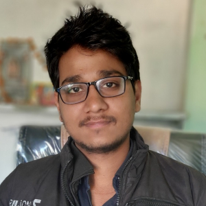 Ajay Pareek-Freelancer in ,India