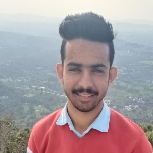 Arif Mohammad-Freelancer in Ghumarwin,India