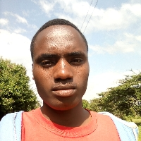 Nicholas Bett-Freelancer in ,Kenya