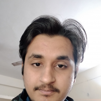 Divyansh Dixit-Freelancer in ,India