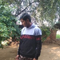Ujjwal Raj Dubey-Freelancer in Chunar,India