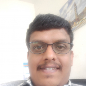 Vijay Krishnan-Freelancer in ,India