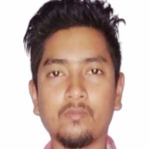 Saurav Bhattacharyya-Freelancer in ,India