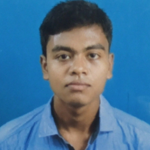 Ayan Mula-Freelancer in ,India