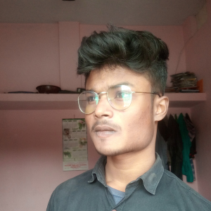 Ayush Raj-Freelancer in Patna,India