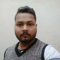 Alok Kumar-Freelancer in Lucknow,India
