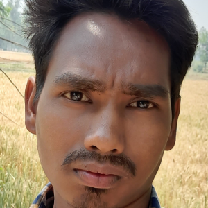 Lalit Thakur-Freelancer in Dewas,India