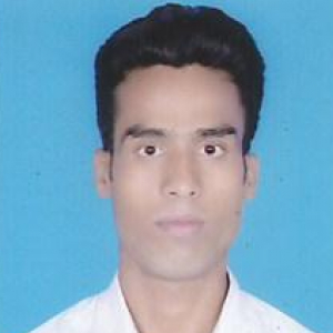 Shashi Ranjan Kumar-Freelancer in Siwan,India