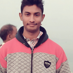 Saif Hussain-Freelancer in Ghaziabad,India