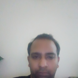 Siddamshetty Abhilash-Freelancer in Greater Noida,India