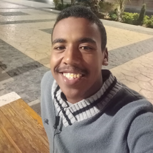 Mohamed Altahan-Freelancer in Komumbo,Egypt