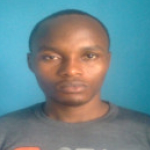 Oluwaseun Victor Zoffun-Freelancer in ,Nigeria