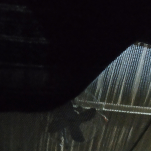 Nilesh Das-Freelancer in ,India