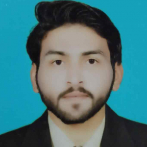 Mudassar Hussain-Freelancer in Faisalabad,Pakistan