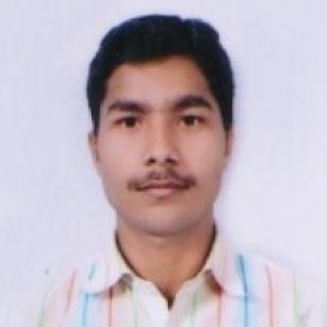 Abhay Pratap-Freelancer in Lucknow,India