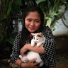 Yosefa Kirana Amanda-Freelancer in ,Indonesia