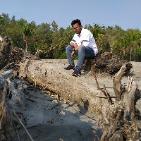 Nafiul Islam-Freelancer in Barguna,Bangladesh