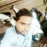 Zahid -Freelancer in Moradabad,India