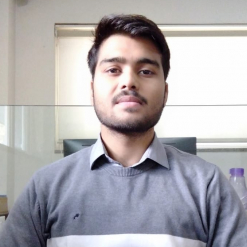 Prashant Dubey-Freelancer in Indore,India