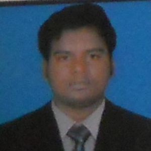 Praveenkumar Nandipati-Freelancer in Guntur,India