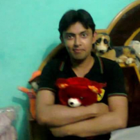 Sudhanshu Shankar Gaur-Freelancer in Roorkee,India