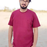 Arish Sohail38-Freelancer in ,Pakistan